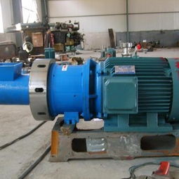 专业品质，高效混合——莱州金辉机械为江苏扬州提供优质卧式螺带式混合机解决方案